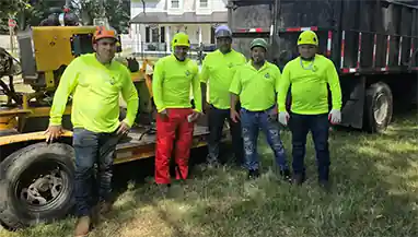 Tree Service Pro Team - Affordable Tree Removal Company
