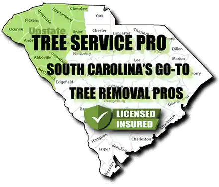 Affordable Tree Removal  Cutting Service